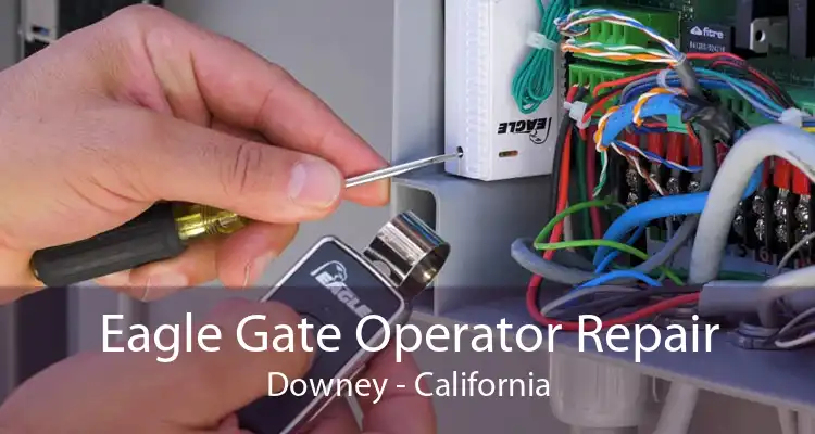 Eagle Gate Operator Repair Downey - California