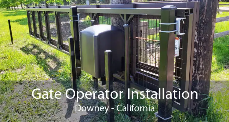 Gate Operator Installation Downey - California