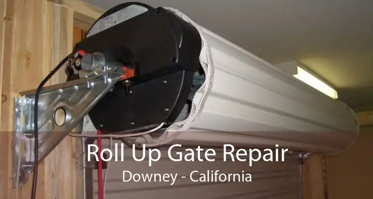 Roll Up Gate Repair Downey - California